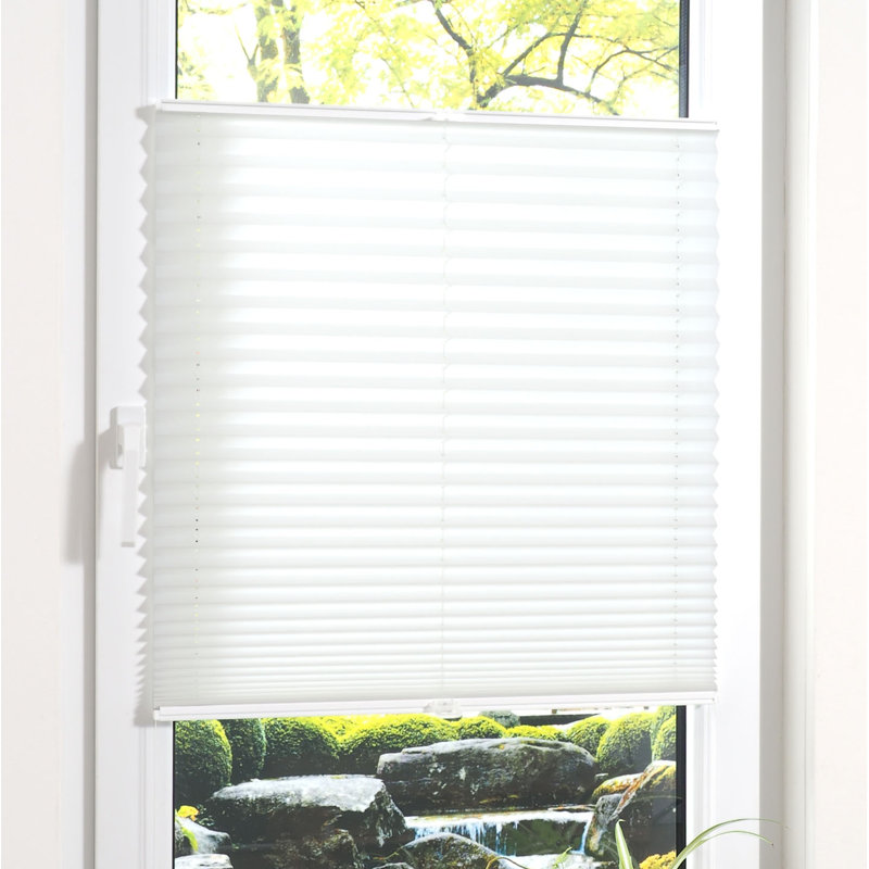 17 Stories Plissees Transparent & Bewertungen | Wayfair.de